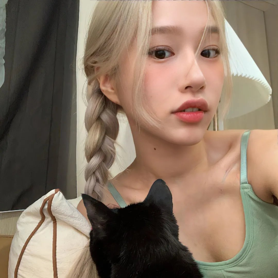 蛊惑猫捉贼