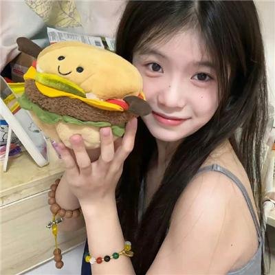 法网追击